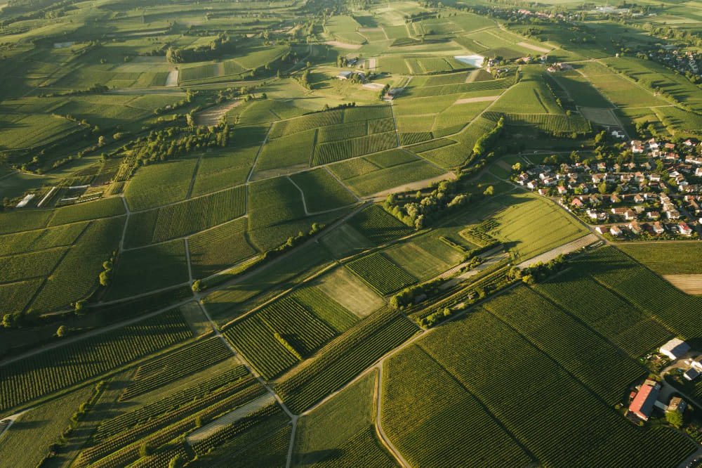 Planning to Build a House in California? See How Much Does It Cost to