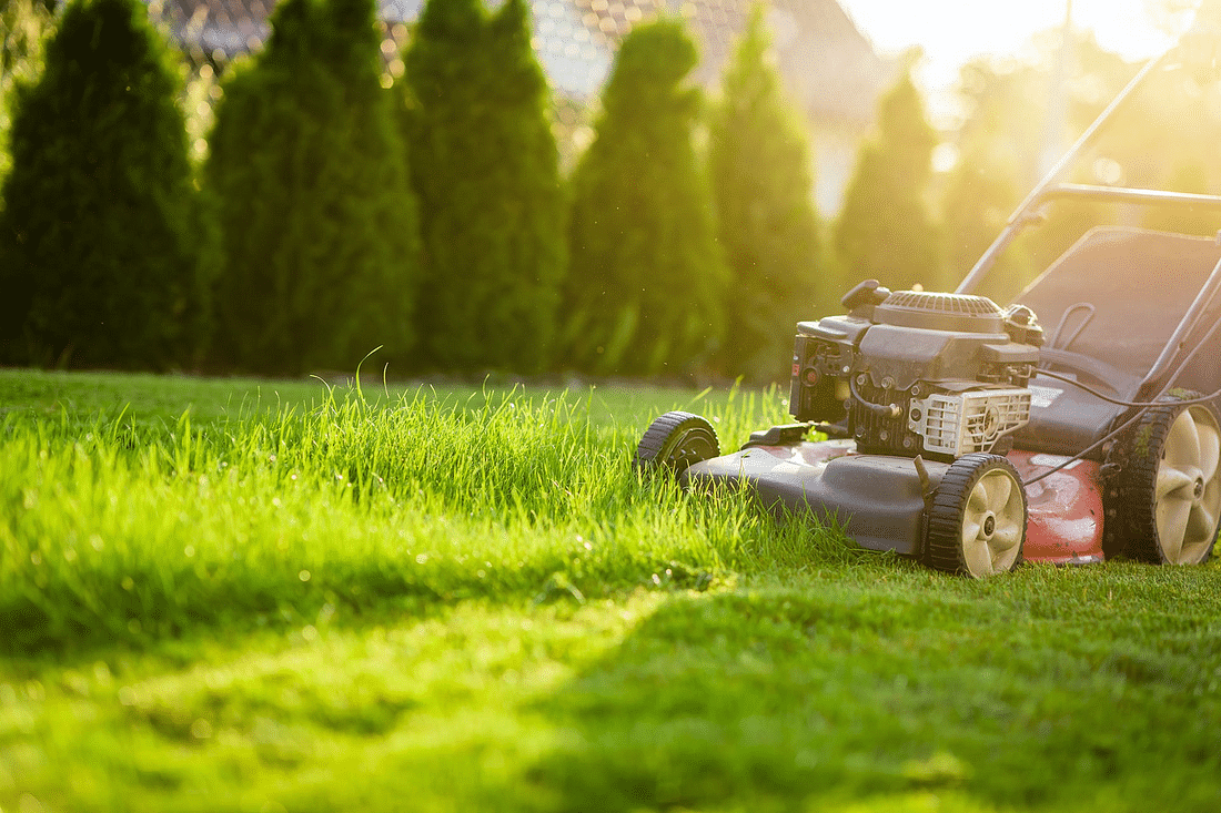 When is the Best Time to Mow the Lawn? Morning, Afternoon, or Evening ...