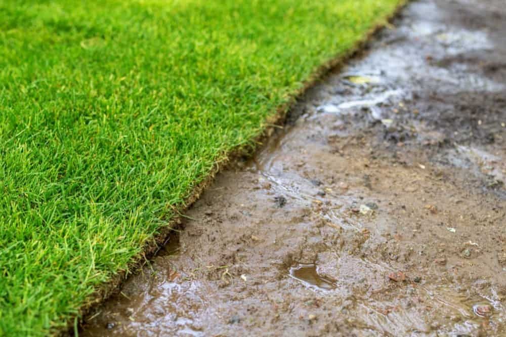 The top 20+ How to take care of new sod 5 How to Take Care of a New Sod Lawn: 6 Tips To Help Ensure A Healthy And Durable Lawn