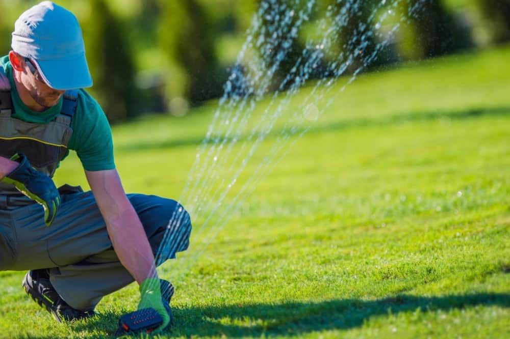 How Often to Water New Sod? Laying, Best Practices, and Maintenance